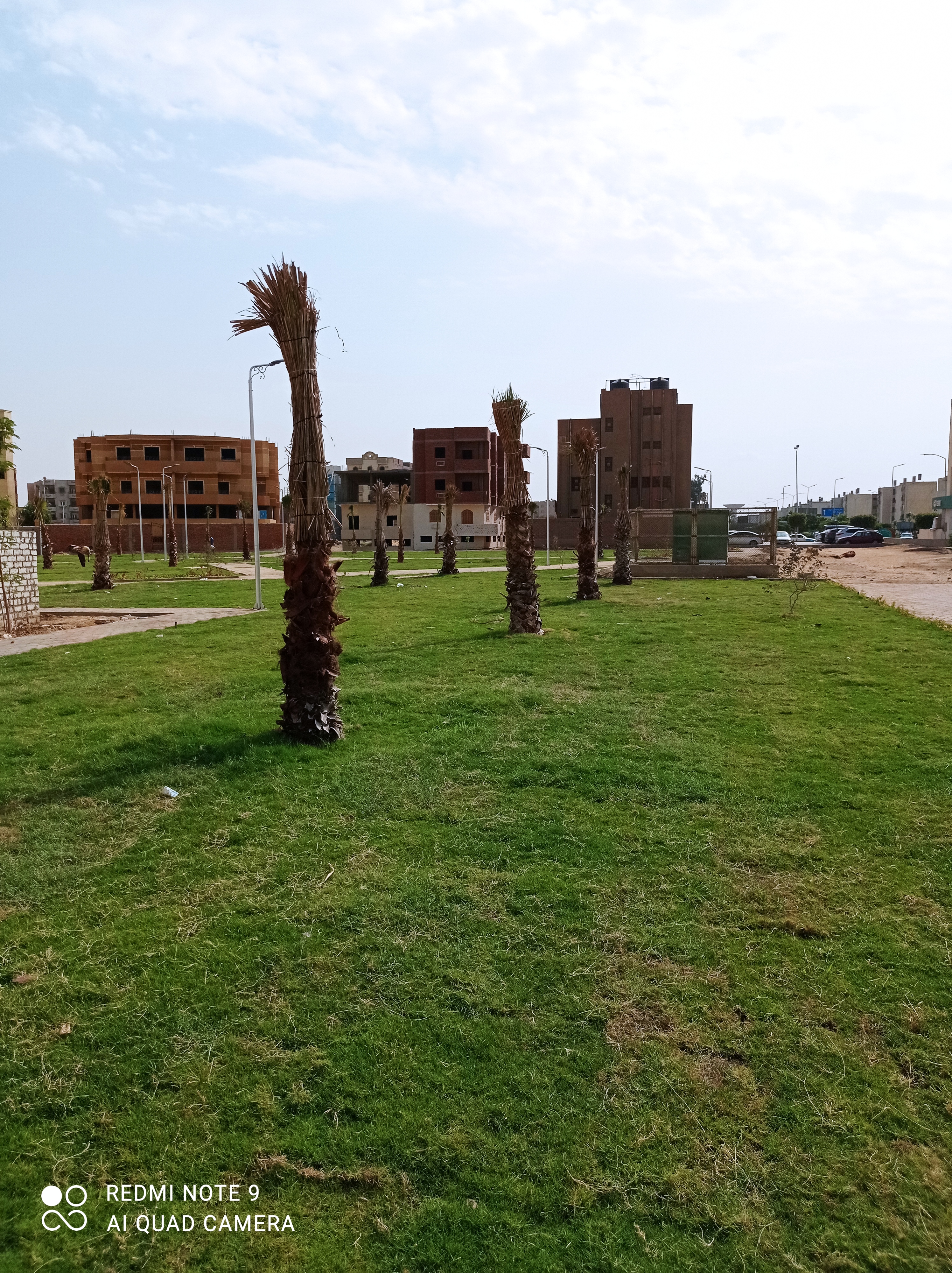 أعمال الزراعات