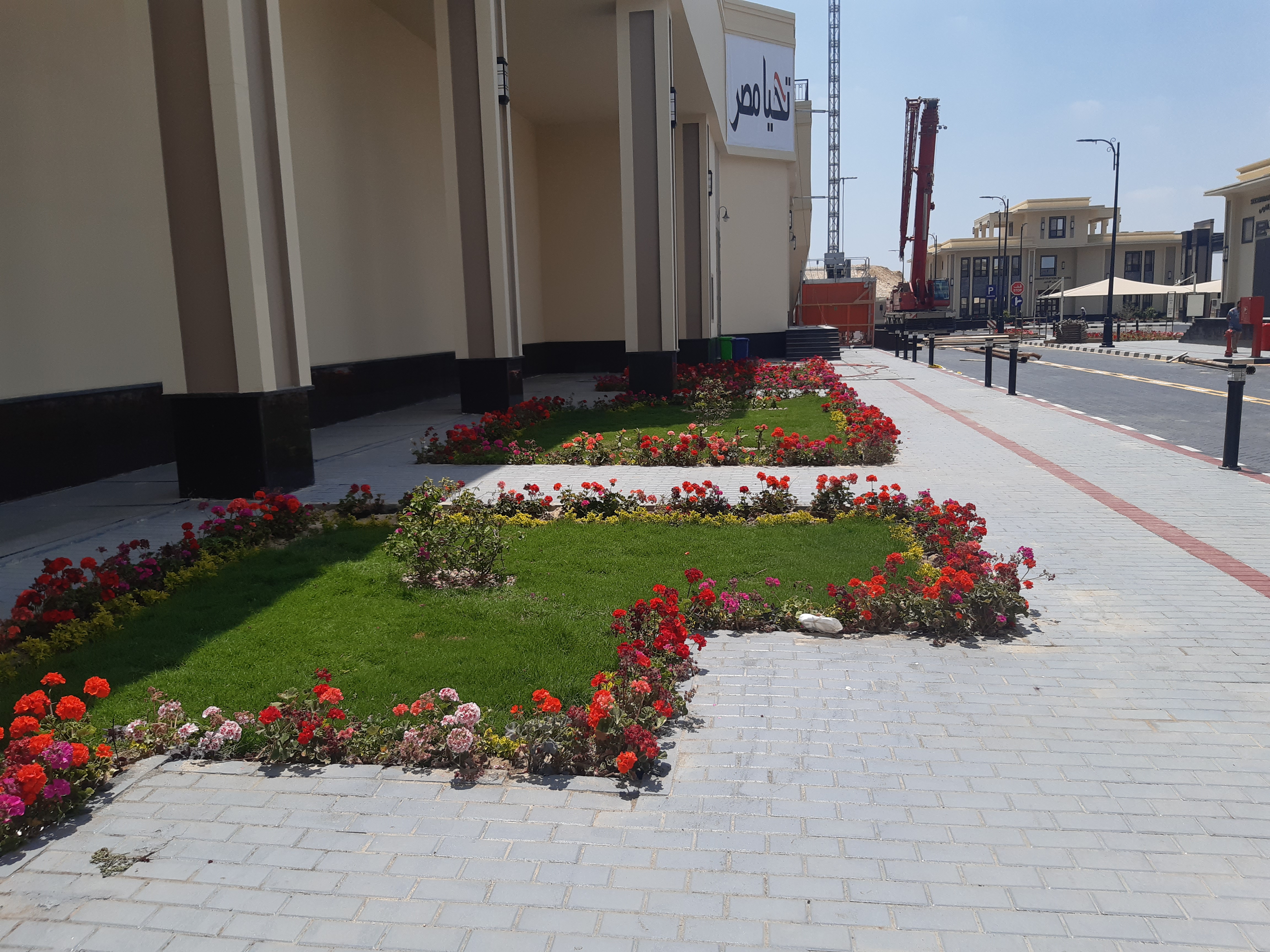 أعمال صيانة المسطحات الخضراء وشبكات الري بمشروع محطة معالجة مياه المحسمة بشرق القناة